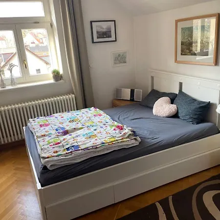 Dachgeschosswohnung Mit Zwei Schlafzimmern Dresden